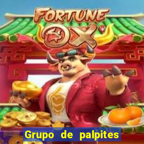 Grupo de palpites de futebol gratis